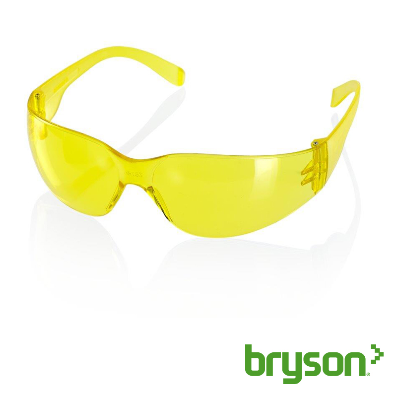 Safety Spectacles Safety Spectacles Eye Protection PPE & Workwear