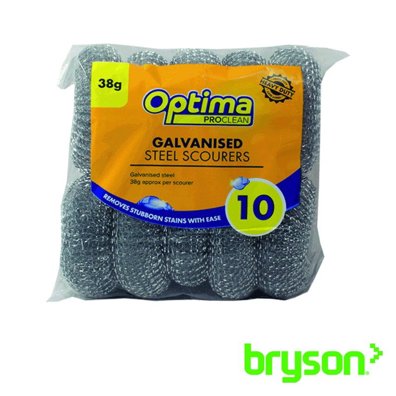 Stainless Steel Scourers