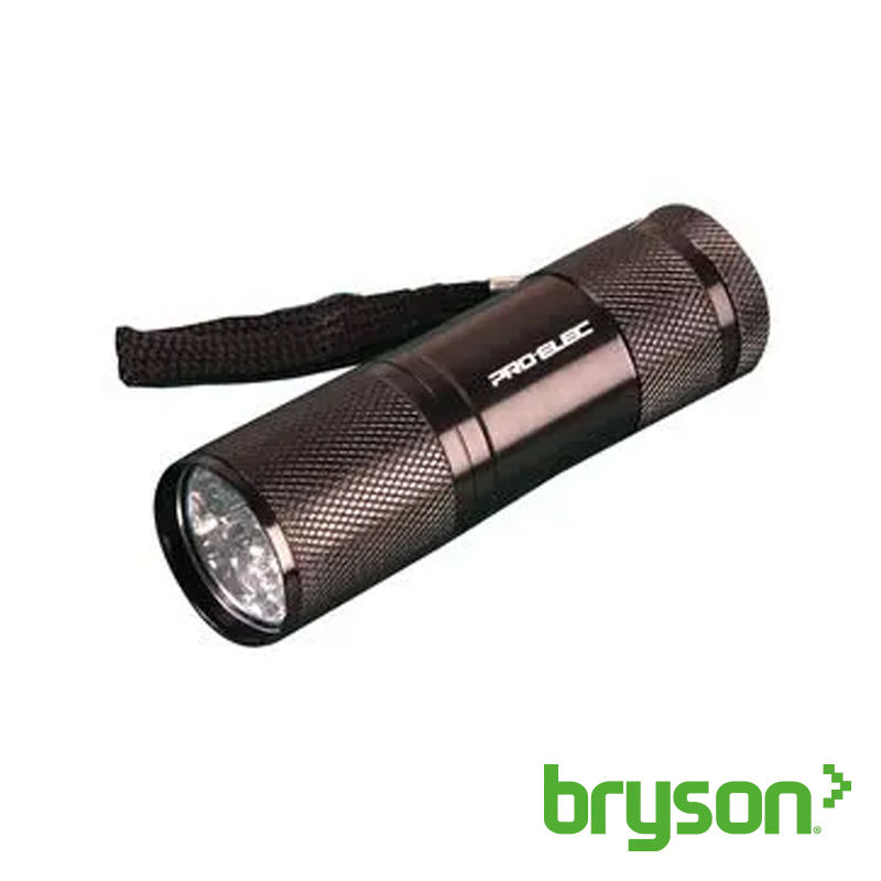 LED Pocket Torch