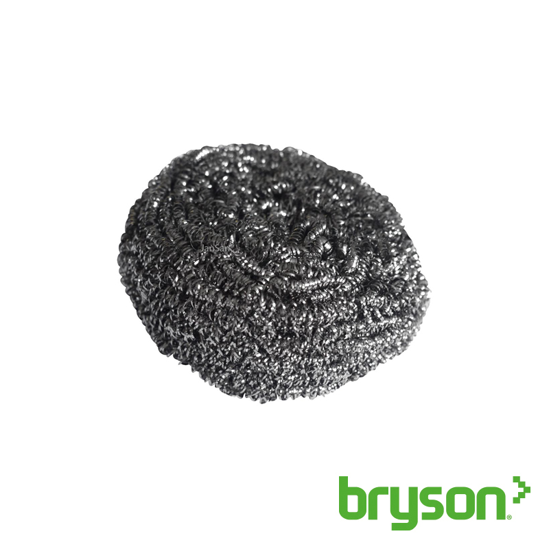 Stainless Steel Scourers