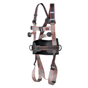 JSP Pioneer™ 3-Point Harness
