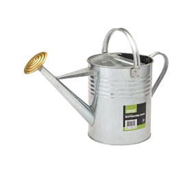 Galvanised Watering Can
