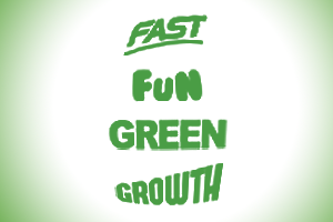 Bryson Values - Fast, Fun, Green & Growth