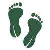 Carbon Footprint