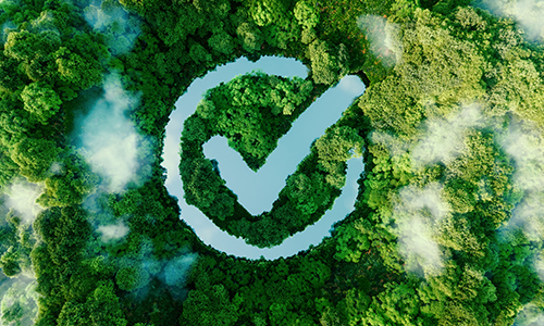 Understanding-FSC-Certification.jpg (252 KB)