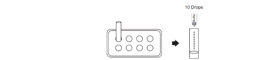 Covid Rapid Antigen Test Step 2