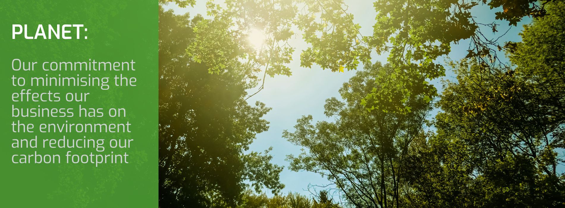 Corporate Sustainability Planet